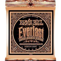 ERNIE BALL P02546